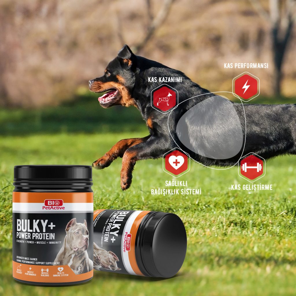 bulky-slider-03